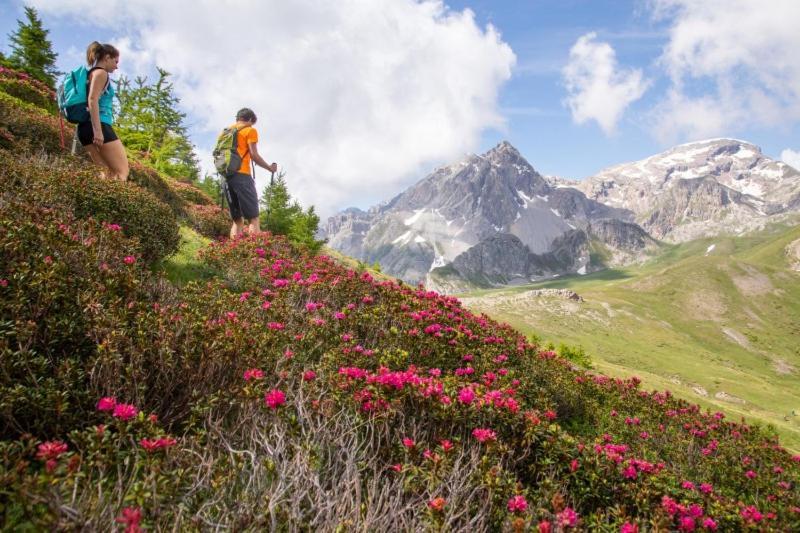 Nice Appt In Briancon Les Charmettes Bagian luar foto