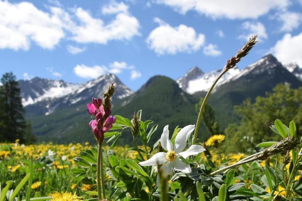 Nice Appt In Briancon Les Charmettes Bagian luar foto